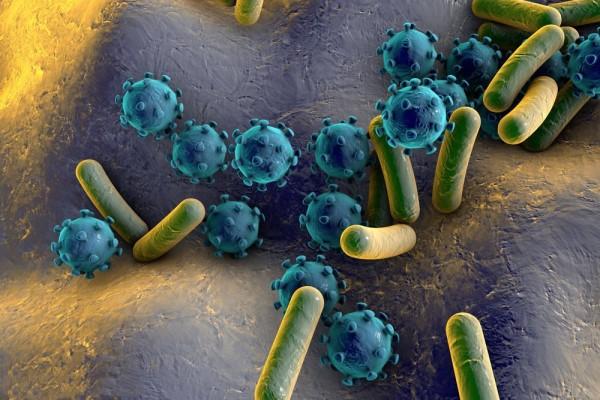 ¿¿ cómo se producen las "superbacterias"? ¿¿ cómo prevenir la resistencia antimicrobiana? 